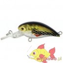  KAMATSU CHUBBY CRANK 4CM 013