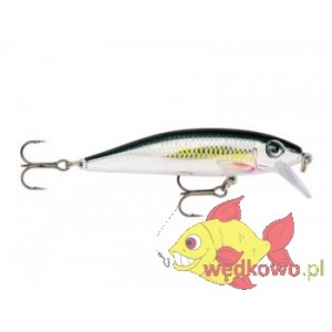 WOBLER RAPALA X-RAP COUNTDOWN 5cm/4g ALB