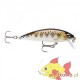 WOBLER RAPALA X-RAP COUNTDOWN 5cm/4g MD