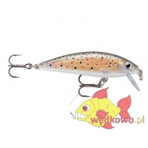 WOBLER RAPALA X-RAP COUNTDOWN 5cm/4g TR