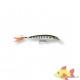 WOBLER RAPALA X-RAP 10CM/13g MD