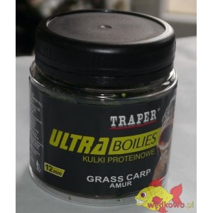 KULKI TRAPER PROTEINOWE ULTRA AMUR 12mm 100g