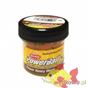 PRZYNĘTA BERKLEY POWERRBAIT GARLIC HONEY WORM (orange)