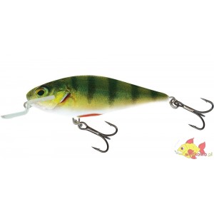 SALMO EXECUTOR 12SR REAL PERCH