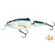 SALMO FRISKY 7SR REAL DACE