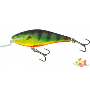 SALMO  EXECUTOR 5SDR REAL HOT PERCH 