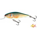 SALMO  EXECUTOR 7SDR REAL ROACH