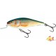 SALMO  EXECUTOR 7SDR REAL ROACH