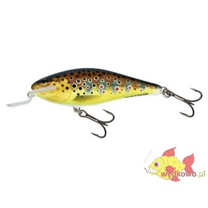 SALMO IMAGE EXECUTOR 7SDR TROUT