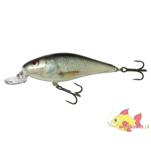 SALMO  EXECUTOR 9SR REAL DACE