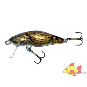 SALMO BULLHEAD 4S BULLHEAD