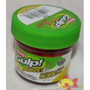 BERKLEY GULP ALIVE RED