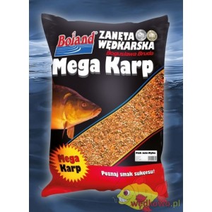 ZANĘTA BOGUSŁAWA BRUDA MEGA KARP BOLAND FISH MIX-RYBA 2.5KG