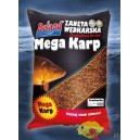 ZANĘTA BOGUSŁAWA BRUDA MEGA KARP BOLAND TRUSKAWKA 2.5KG