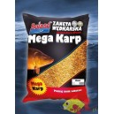 ZANĘTA BOGUSŁAWA BRUDA MEGA KARP BOLAND MIÓD 2.5KG