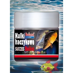 KULKI HACZYKOWE BOLAND SUCCESS BOILIES WANILIA 16MM 250ML