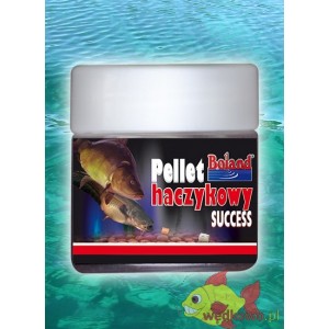 PELLET HACZYKOWY BOLAND SUCCESS HALIBUT BLACK 20.0MM 250ml