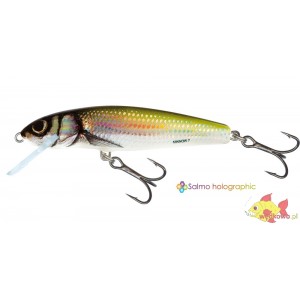 SALMO MINNOW 5F HOLO BLEAK