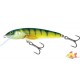 SALMO MINNOW 5F PERCH