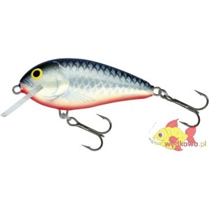 SALMO BUTCHER 5F GREY SILVER