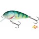 SALMO BUTCHER 5F PERCH